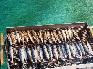 Fish Picnic